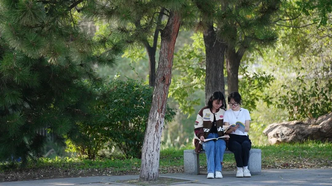 沈阳市化工学校2023年招生问答01.jpg